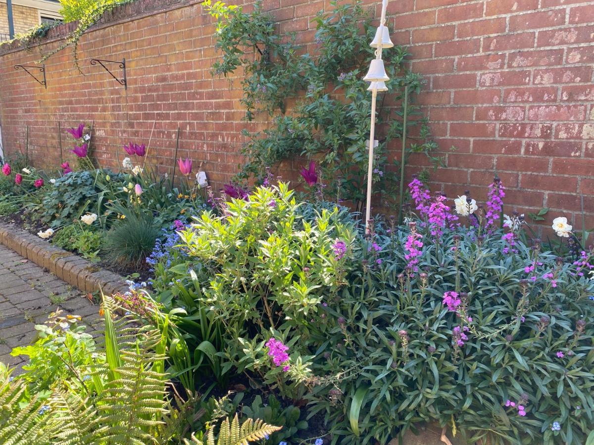 Villa Stylish Town Centre House With Garden And Parking Opposite à Bury St. Edmunds Extérieur photo
